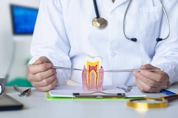 Best Emergency Root Canal Treatment in Kinnelon, NJ